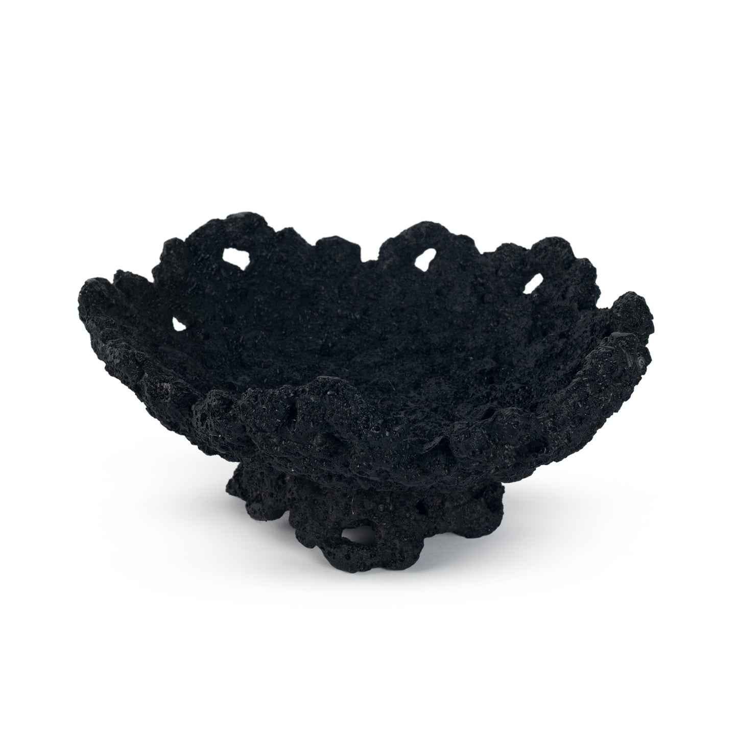 Black coral decor object